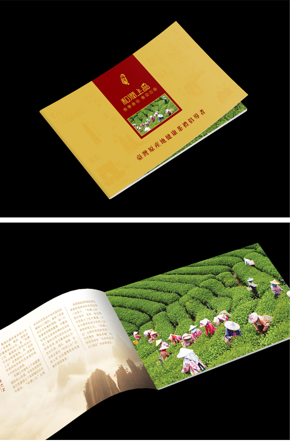  深圳畫(huà)冊(cè)設(shè)計(jì)