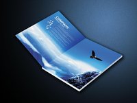 深圳畫冊設(shè)計
